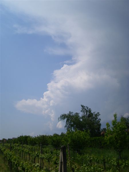 Storm in Kralova-Left Wirphol

