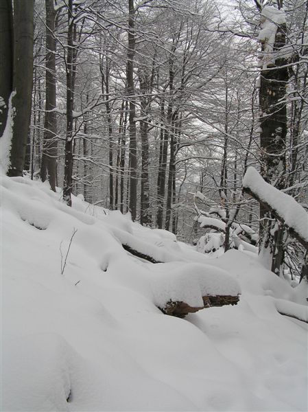 fasa snehu kopec 2
