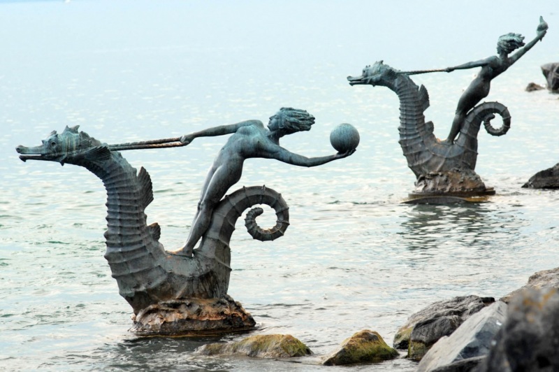 genevske jazero - koniky, morske
