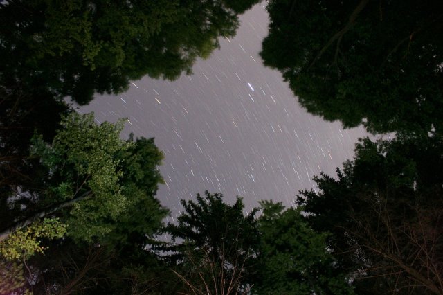 NoÄŤnĂˇ obloha nad Bigonom
413.0 s, F5.00, ISO 400, + nasvecovanĂ© stromy zo spodu bleskom.
