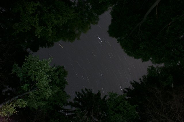NoÄŤnĂˇ obloha nad Bigonom
753.0 s, F6.30, ISO 200, + nasvecovanĂ© stromy zo spodu bleskom.
